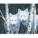 Dimensions Large Traditional Designs White Magic
