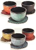 teeblume Gusseisen Teetasse Arare mit Untersetzer schwarz