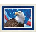 America PBN