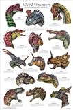 (24x36) Weird Dinosaurs Educational Paleontology Science Chart Poster