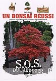Un bonsaï réussi
