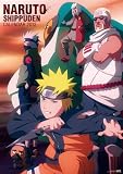 NARUTO-�Ŏَ�-��������B�� 2012ǯ���ڎݎ��ގ�
