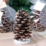 Pine Cone Fire Starter Favor