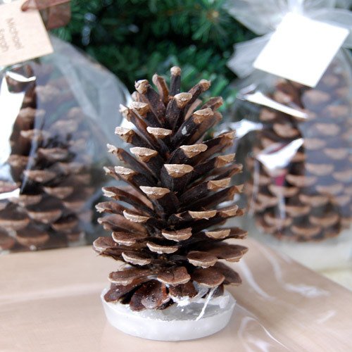 Pine Cone Fire Starter Favor