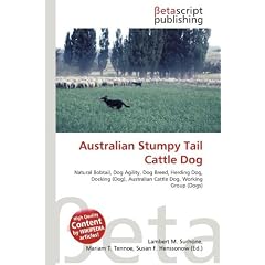 Australian Stumpy Tail Cattle Dog