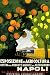 1933 ORANGE NAPOLI TRAVEL TOURISM EUROPE ITALY ITALIA VINTAGE POSTER REPRO
