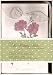 Anna Griffin - The Wedding Studio - Red Floral Wedding Invitation Kit - 50/50/50/50