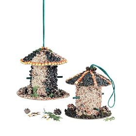 Backyard and Beyond Edible Bird Feeder Kit