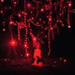 The Danger of Light (2lp+CD)