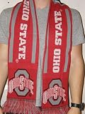 Forever Collectibles NCAA Ohio State Buckeyes 2011 Team Stripe Scarf