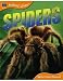 Animal Lives: Spiders
