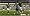 FIFA Soccer 09