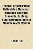 Fauna of Brunei: Mammals of Borneo-
