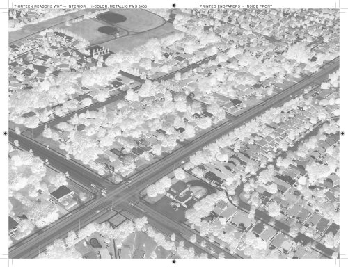 large image