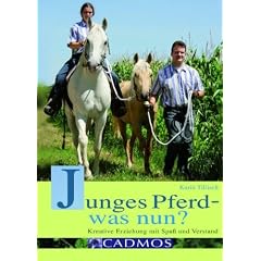 Junges Pferd - was nun?: Kreative Erziehung mit Spa� und Verstand