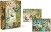 Punch Studio Butterfly Explorer Notecard Duo in Keepsake Book Box