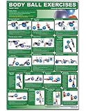 Body Ball Exercises-Upper Body/Lower Body Laminated (Poster)