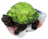 Cute Box Turtle Solar Light Garden Statue Patio Accent
