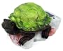 Cute Box Turtle Solar Light Garden Statue Patio Accent