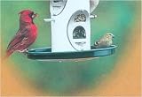 Aluminum seed Tray 8 in. Green