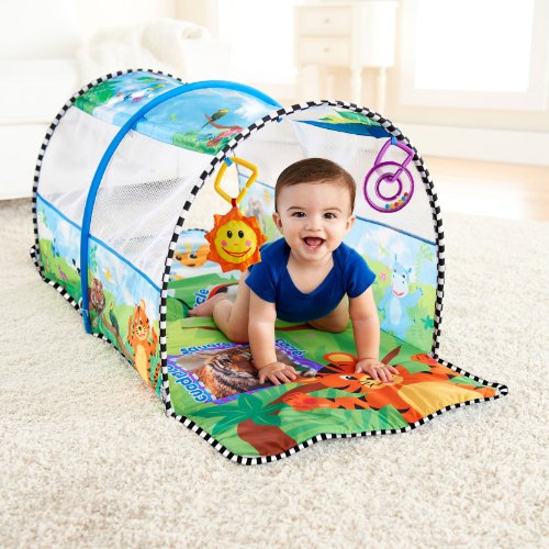 baby einstein tunnel