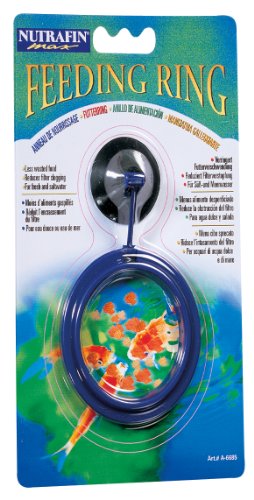 Hagen Nutrafin Max Feeding Suction Cup