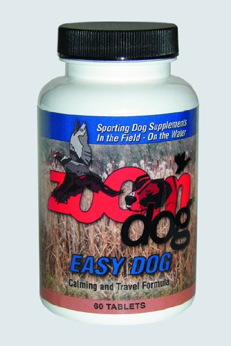 Zoom Dog Easy Dog