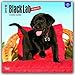 Labrador Retriever Puppies, Black 2017 Calendar
