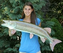Giant Fiberglass Taxidermy Muskie Muskelunge Mount 40"