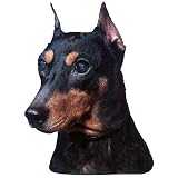 Miniature Pinscher Black Sticker2008