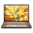 HP Pavilion DV7-1130US 17-Inch Laptop (2GHz AMD Turion X2 RM-70 Dual-Core Mobile Processor, 4 GB RAM, 250 GB Hard Drive, DVD Drive, Vista Premium)