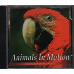 Animals in motion - Excelsior