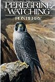 Peregrine watching