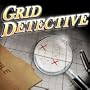 Grid Detective