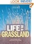 Life in a Grassland (Ecosystems in Action)