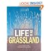 Life in a Grassland (Ecosystems in Action)