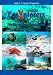 Search : Floridas Best Shore Dives