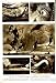 1951 LONDON AQUARIUM SEA HORSES LUNG-FISH CINEMA SAMSON