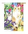 Kitten Mischief Silk Reflections Regular Size Flag