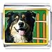 Golden Italian Charm Bracelet Plated Travel Australian Shepherd Photo
