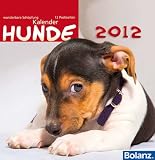 Wunderbare Schöpfung - Hunde 2012: Fotokalender mit Bibelversen