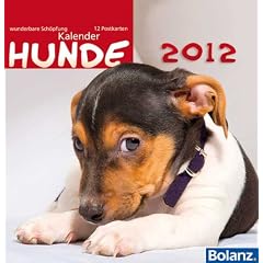 Wunderbare Sch�pfung - Hunde 2012: Fotokalender mit Bibelversen