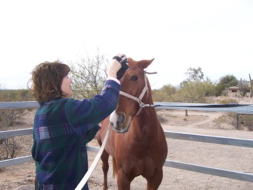 Horse Grooming Vacuum Cleaner