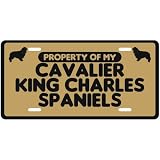 NEW  PROPERTY OF MY CAVALIER KING CHARLES SPANIELS  LICENSE PLATE SIGN DOG