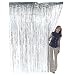 Metallic Silver Foil Fringe Curtains (1 pc)