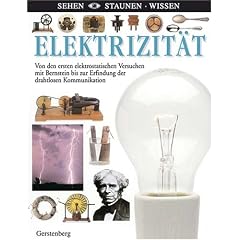 Elektrizit�t: Von den ersten elektrischen Versuchen mit Bernstein bis zur Erfindung der drahtlosen Kommunikation
