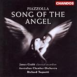 Oblivion (arr. for accordion, piano and string orchestra)