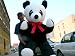 Search : 50" GIANT STUFFED PANDA - LIFESIZE GIANT HUGE BIG PLUSH STUFFED ANIMAL PANDA - AMERICAN MADE IN THE USA AMERICA