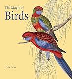 The magic of birds