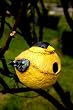 Finch Portly - Birdhouse